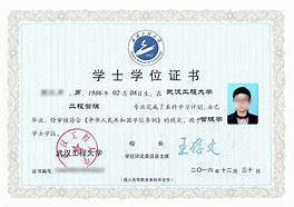 成人高考证书样本.jfif