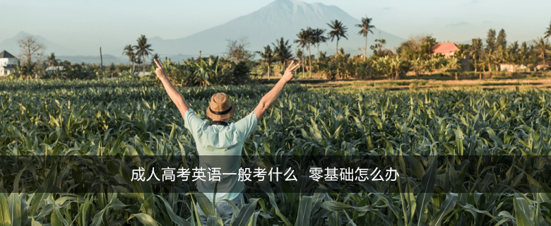 成人高考英语一般考什么  零基础怎么办